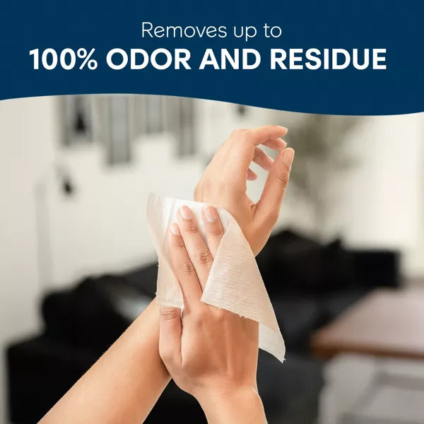 Cottonelle Flushable Wet Wipes, 14 count-036000517569-LR-340612-2-LR eShop