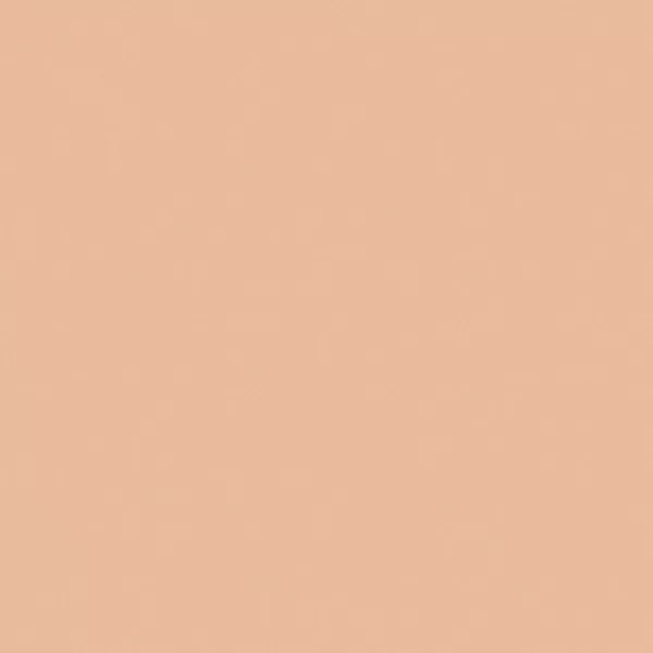 COVERGIRL Clean Invisible Loose Powder - 110 Translucent Light-3616304004964-LR-347583-4-LR eShop