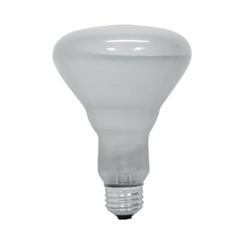 GE 45W Soft White R30 Indoor Floodlight Light Bulb