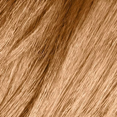 Dark & Lovely Fade Resist Rich Conditioning Hair Color - 378 Honey Blonde-072790003783-LR-224349-2-LR eShop