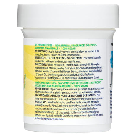 De La Cruz Arnica Salve for Cracked Skin, 2 oz-024286150129-LR-338695-2-LR eShop