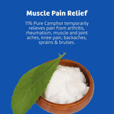 De La Cruz Camphor Ointment Pain Relieving Rub, 2.5 oz-024286150020-LR-224692-4-LR eShop