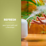 De La Cruz Eucalyptus Essential Oil, 2 oz-024286154653-LR-338691-3-LR eShop