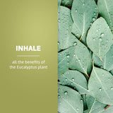 De La Cruz Eucalyptus Essential Oil, 2 oz-024286154653-LR-338691-4-LR eShop