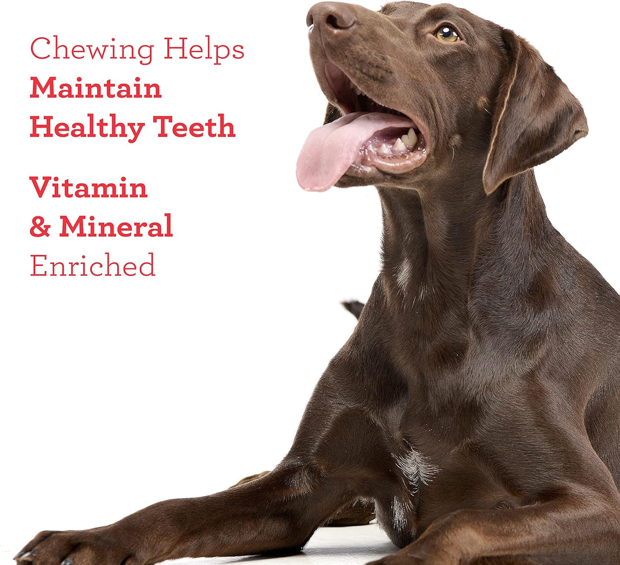 Dreambone Churro-Style Dog Sticks With Chicken, 14 count-892383006270-LR-342331-9-LR eShop