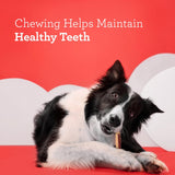 DreamBone DreamSticks Vegetables and Chicken Chews, 5 count-892383002593-LR-303200-6-LR eShop