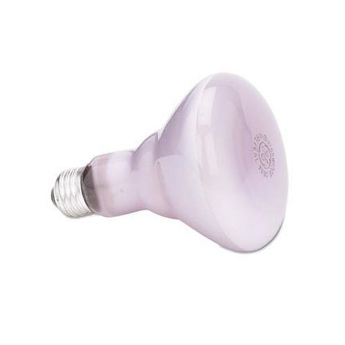 GE 65W Reveal R30 Indoor Floodlight Incandescent Bulb