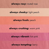 e.l.f. Primer Infused Matte Blush - Always Cheeky-609332830912-LR-328341-7-LR eShop