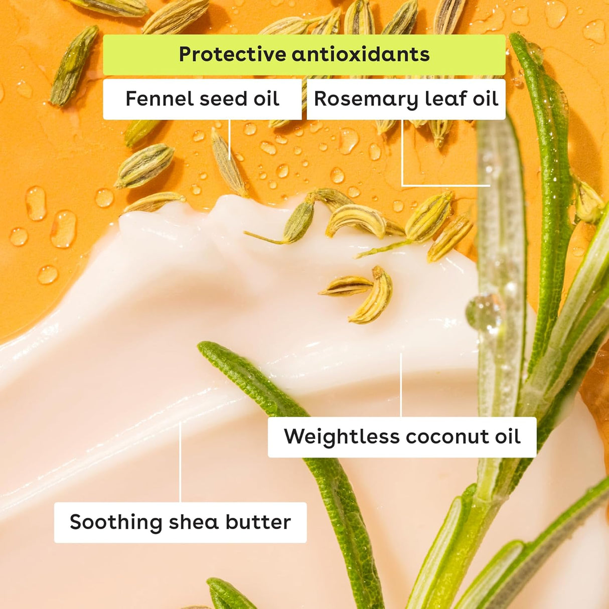 eos Limited Edition Lip Balm Variety Pack - Nilla' Milkshake, 4 count-840044714453-LR-359727-5-LR eShop