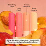 eos Lip Balm Variety Pack - Peachy Keen, 3 count-840044713401-LR-355636-2-LR eShop