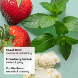 eos Natural Shea Lip Balm - Vanilla Bean, Sweet Mint, & Strawberry Sorbet, 3 count-840044709732-LR-359721-2-LR eShop