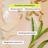 eos Natural Shea Lip Balm - Vanilla Bean, Sweet Mint, & Strawberry Sorbet, 3 count-840044709732-LR-359721-4-LR eShop