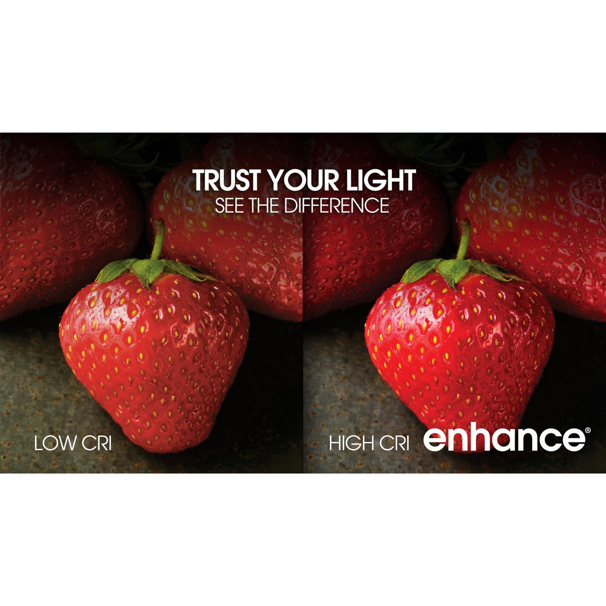 FEIT Electric 12.2 Watt Dimmable Enhance General Purpose LED A19 Light Bulbs, E26 Base - Bright White, 2 count-017801154436-LR-347801-3-LR eShop