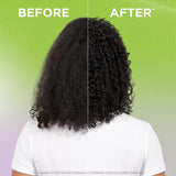 Garnier Fructis Style Curl Construct Creation Hair Mousse, 6.8oz-603084260201-LR-225129-4-LR eShop