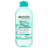 Garnier Hyaluronic Acid Hydrating and Plumping Makeup Remover Micellar Water, 13.5 oz-603084073825-LR-357196-1-LR eShop