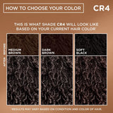 Garnier Nutrisse Curls Permanent Hair Color - CR4 Glossy Dark Brown-603084092628-LR-361788-6-LR eShop