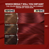 Garnier Nutrisse Ultra Color Nourishing Color Creme - R3 Light Intense Auburn-603084223572-LR-251538-3-LR eShop