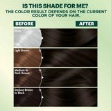 Garnier Nutrisse Ultra Coverage 100% Gray Coverage Permanent Hair Color - 200 Deep Soft Black-603084496990-LR-361812-6-LR eShop