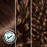 Garnier Nutrisse Ultra Creme Nourishing Permanent Color - 51 Medium Ash Brown-603084244577-LR-251515-6-LR eShop