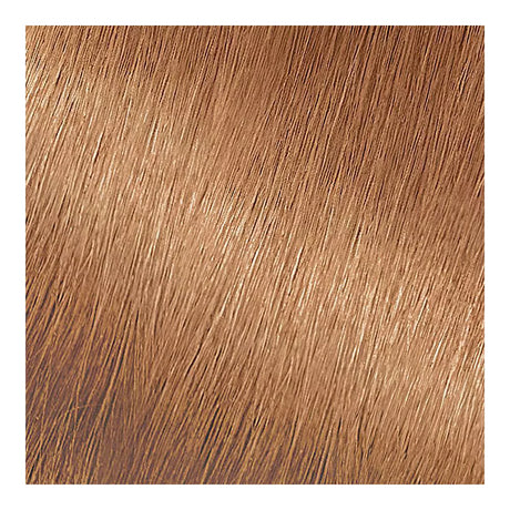 Garnier Nutrisse Ultra Creme Nourishing Permanent Color - 73 Dark Golden Blonde-603084242597-LR-251524-2-LR eShop