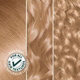 Garnier Nutrisse Ultra Creme Nourishing Permanent Color - 82 Pearly Blonde-603084244386-LR-361793-6-LR eShop