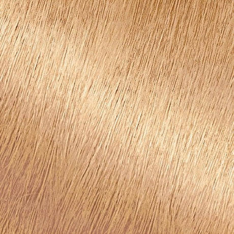 Garnier Nutrisse Ultra Creme Nourishing Permanent Color - 93 Light Golden Blonde-603084027378-LR-361785-2-LR eShop