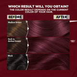 Garnier Nutrisse Ultra Creme Nourishing Permanent Color - BR2 Dark Intense Burgundy-603084410729-LR-361805-3-LR eShop