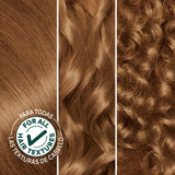 Garnier Nutrisse Ultra Creme Nourishing Permanent Hair Color - 63 Light Golden Brown-603084242641-LR-251542-6-LR eShop