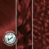 Garnier Nutrisse Ultra Creme Nourishing Permanent Hair Color - 66 True Red-603084242627-LR-251520-5-LR eShop