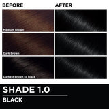 Garnier Olia Oil-Powered Permanent Hair Color - 1.0 Black-603084293902-LR-361795-6-LR eShop