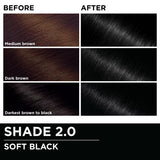Garnier Olia Oil-Powered Permanent Hair Color - 2.0 Soft Black-603084293919-LR-361796-6-LR eShop
