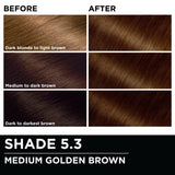 Garnier Olia Oil-Powered Permanent Hair Color - 5.3 Medium Golden Brown-603084294008-LR-361800-6-LR eShop