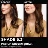 Garnier Olia Oil-Powered Permanent Hair Color - 5.3 Medium Golden Brown-603084294008-LR-361800-7-LR eShop