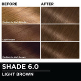 Garnier Olia Oil-Powered Permanent Hair Color - 6.0 Light Brown-603084294022-LR-361801-6-LR eShop