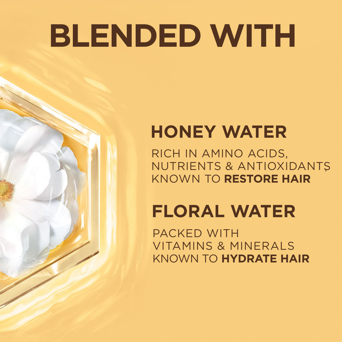 Garnier Whole Blends Honey Water Moisture Restoring Conditioner, 12.5 oz-603084088591-LR-361666-4-LR eShop