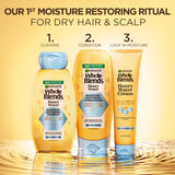 Garnier Whole Blends Honey Water Moisture Restoring Conditioner, 12.5 oz-603084088591-LR-361666-6-LR eShop
