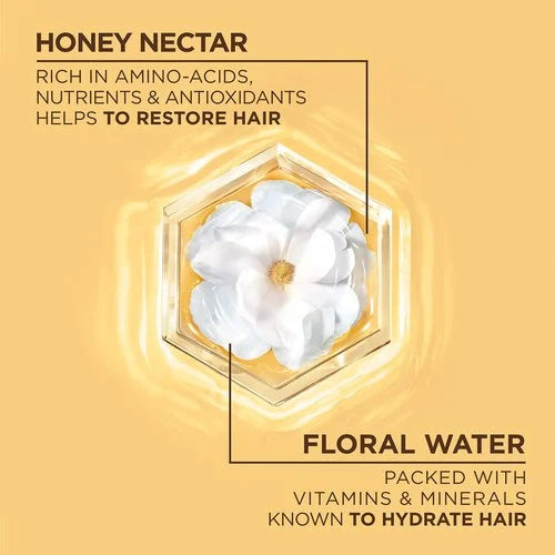 Garnier Whole Blends Honey Water Moisture Restoring Shampoo, 12.5 oz-603084088515-LR-361665-5-LR eShop