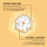 Garnier Whole Blends Honey Water Moisture Restoring Shampoo, 12.5 oz-603084088515-LR-361665-5-LR eShop