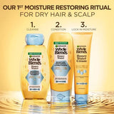 Garnier Whole Blends Honey Water Moisture Restoring Shampoo, 12.5 oz-603084088515-LR-361665-6-LR eShop