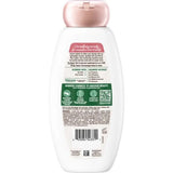 Garnier Whole Blends Oat Delicacy Soothing Shampoo, 12.5 oz-603084543311-LR-361688-6-LR eShop
