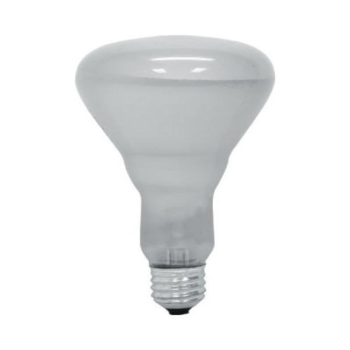 GE 45W Soft White R30 Indoor Floodlight Light Bulb-043168906791-LR-146879-1-LR eShop