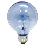 GE Lighting 40W Reveal Incandescent G25 Vanity Globe Bulb - Clear-043168486941-LR-276649-2-LR eShop