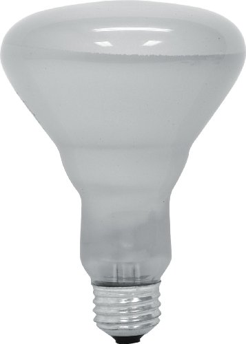 GE Lighting 45W Soft White R30 Indoor Floodlight Light Bulb-043168906791-LR-146879-2-LR eShop
