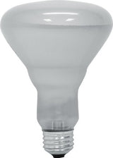 GE Lighting 45W Soft White R30 Indoor Floodlight Light Bulb-043168906791-LR-146879-2-LR eShop