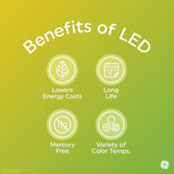 GE Lighting LED Light Bulb, 40 Watt Eqv, Daylight, A19, 4 pack-043168676144-LR-348644-6-LR eShop