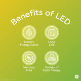 GE Lighting LED Light Bulb, 60 Watt Replacement, Soft White, G25 Vanity - Globe Bulb-043168259675-LR-335869-5-LR eShop