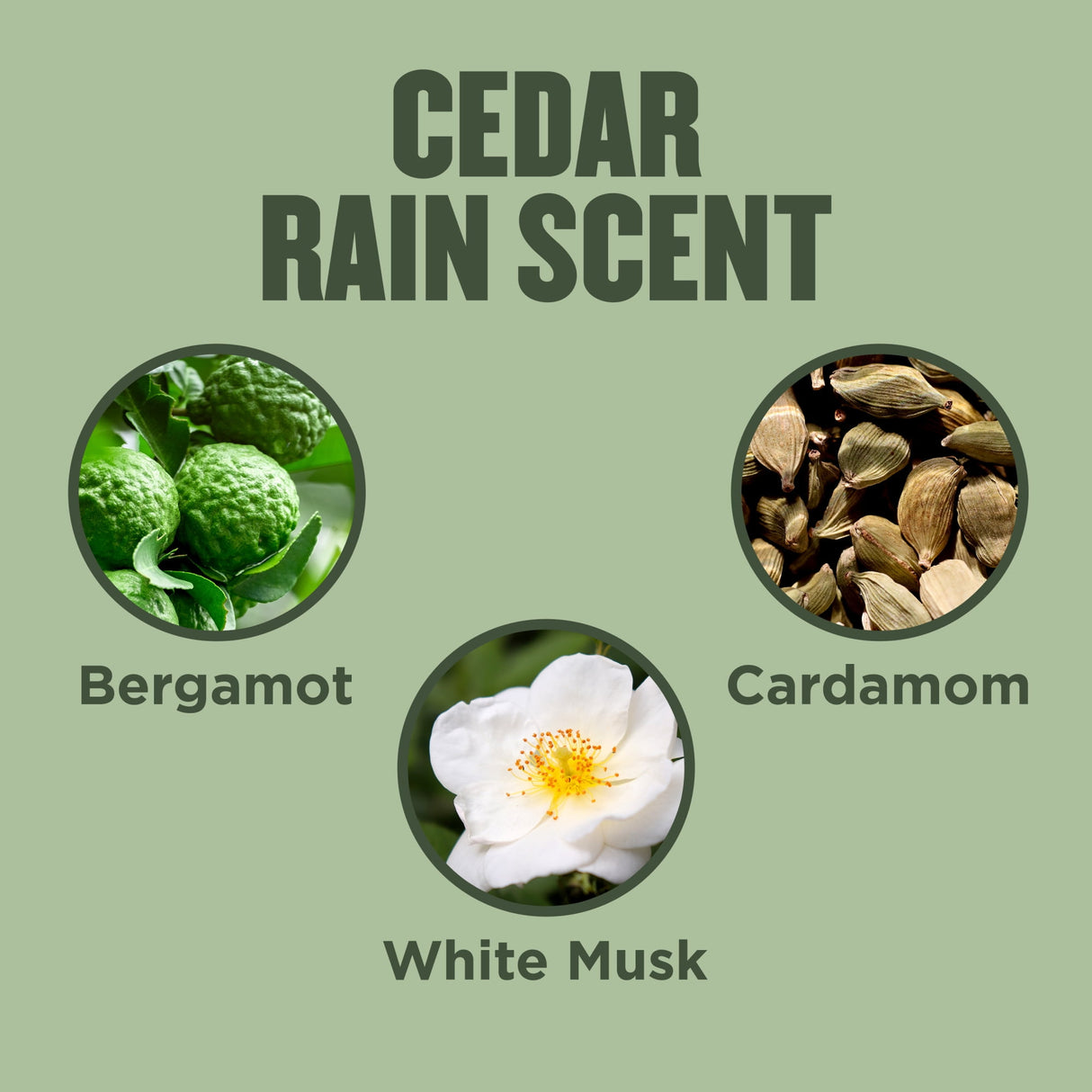 Gold Bond Cedar Rain Refreshing Hand Cream, 24-Hour Hydration, 3 oz-041167042168-LR-363876-7-LR eShop