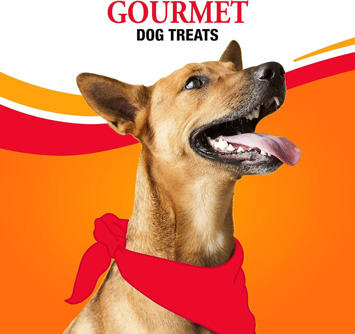 Good 'n' Fun Triple Flavored Rawhide Kabobs for Dogs, 36 count-091093941875-LR-348542-8-LR eShop