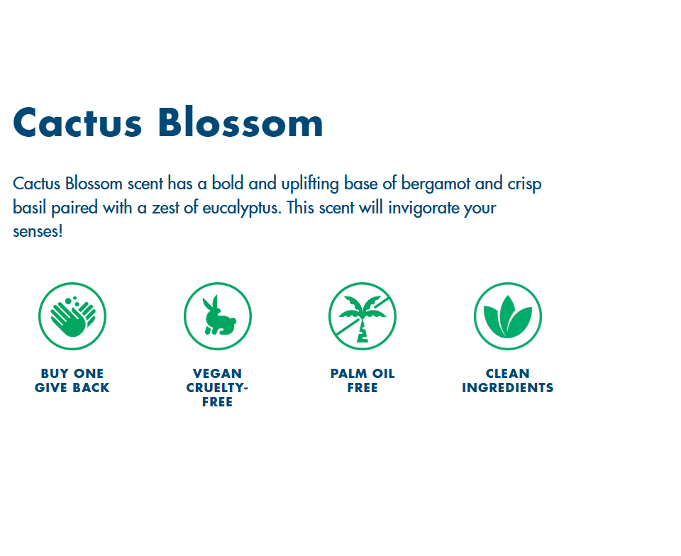 HAND IN HAND Liquid Hand Soap - Cactus Blossom, 10 oz-858958006809-LR-358247-2-LR eShop