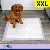 Hartz Home Protection Lavender Scent Odor Eliminating Gel Dog Pads - XXL, 20 Count-032700154790-LR-342268-6-LR eShop
